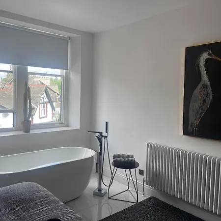 The Penthouse In *